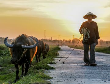 Hoi An Explore Countryside Private Tour 