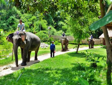 Luang Prabang & Elephan Riding