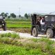 Hai Van Pass Jeep Tour Hue To Hoi An - Da Nang